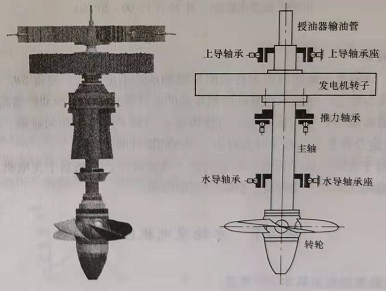 立式水輪發(fā)電機組軸系結構示意圖