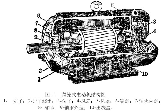 鼠籠式電動機(jī)結(jié)構(gòu)圖